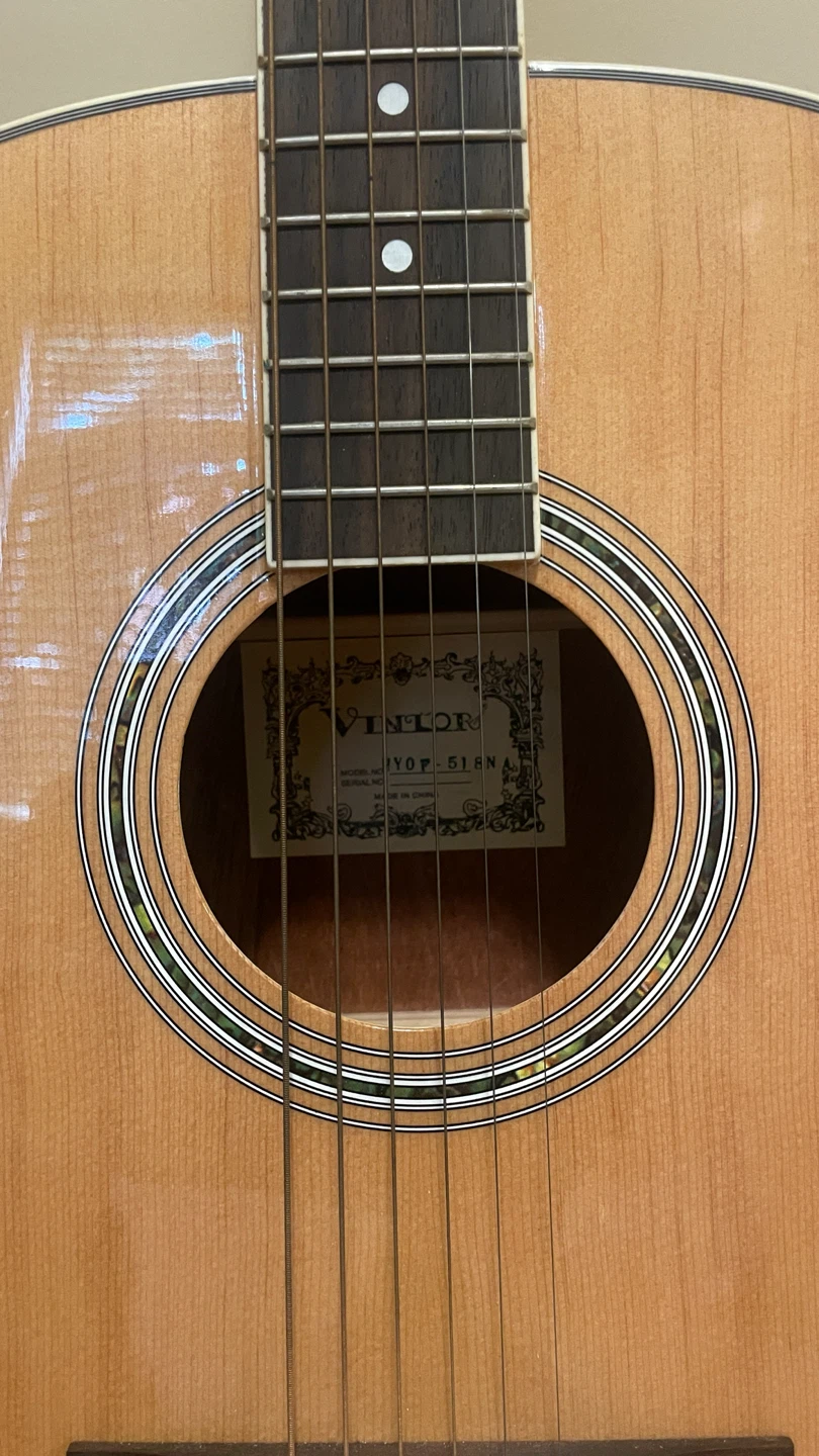 VINTOR Acoustic Guitar with Gig Bag - photo 2