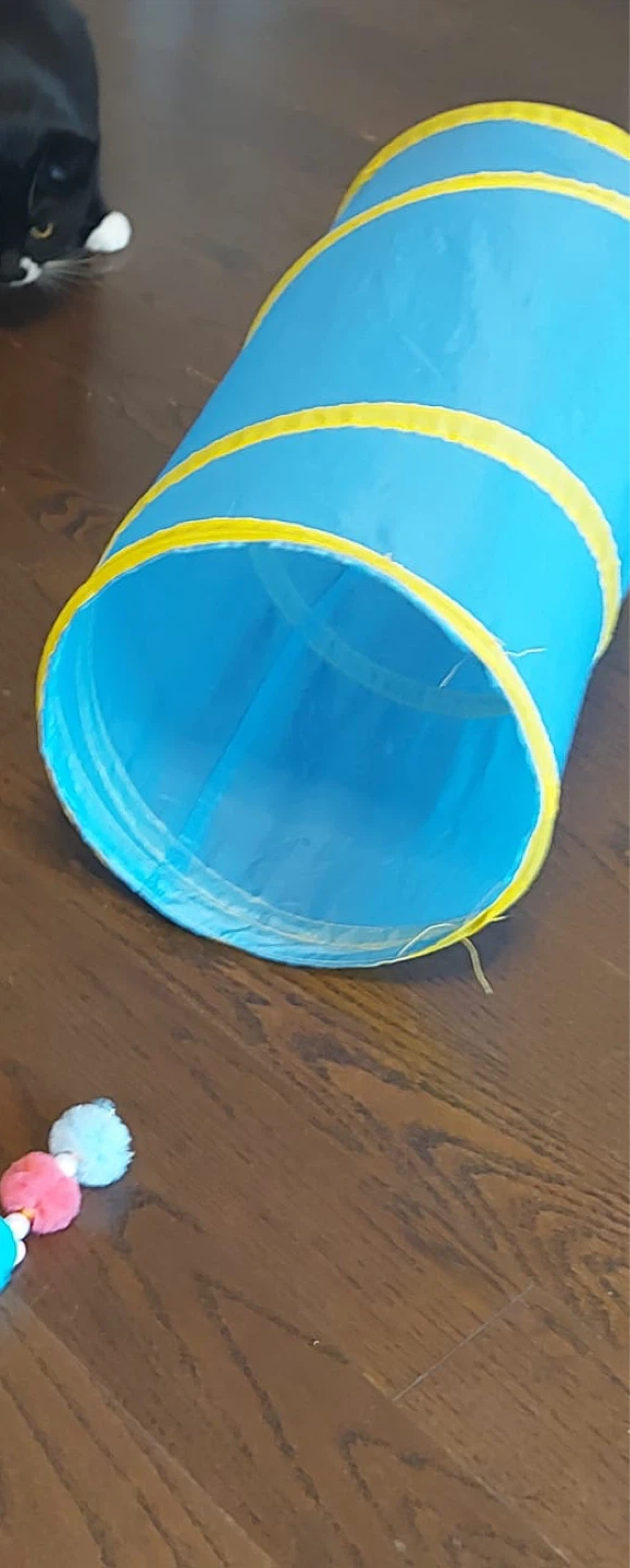 Blue Cat Tunnel with Yellow Trim