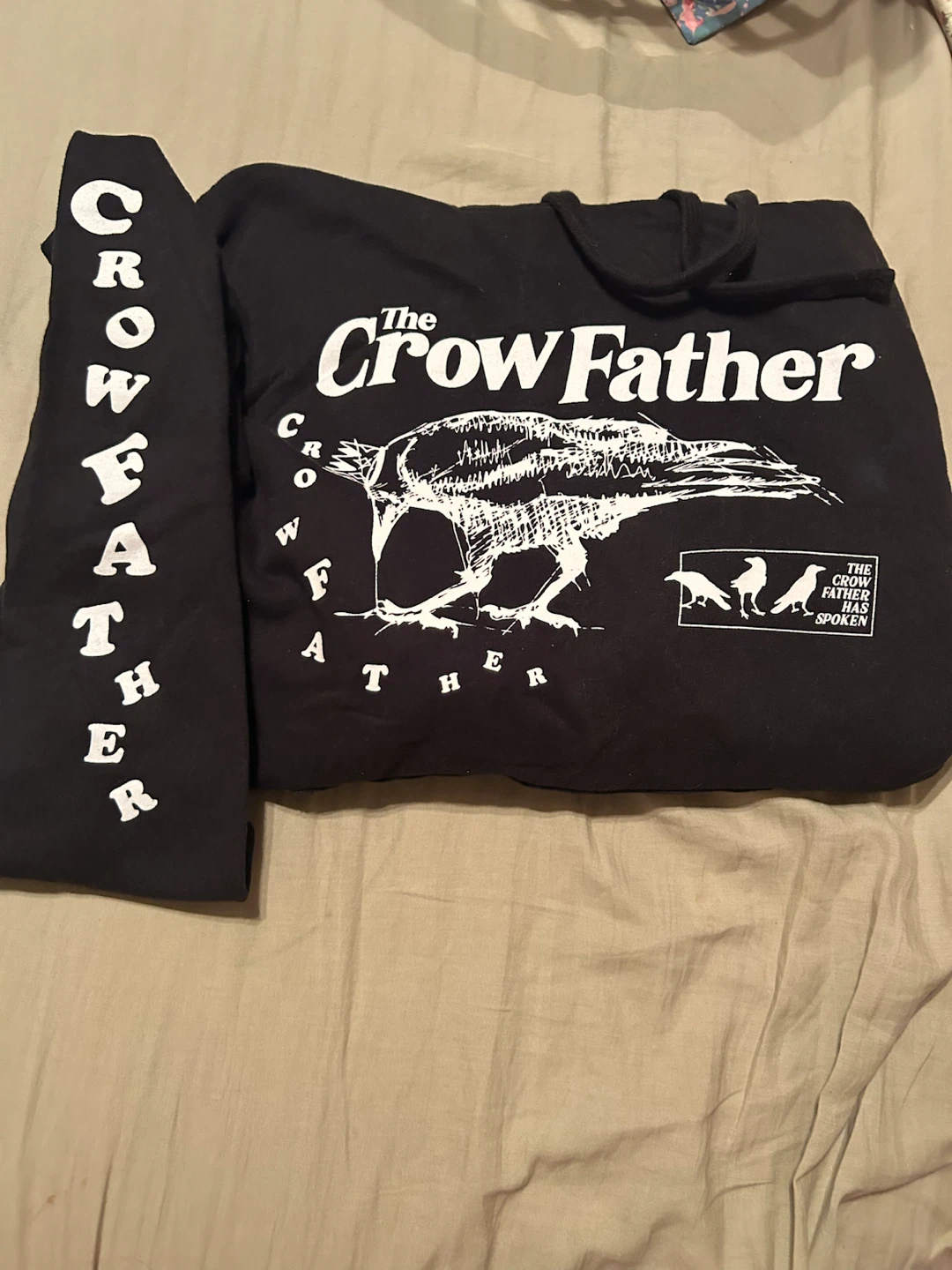 philza (Ph1LzA) minecraft streamer crowfather merch hoodie