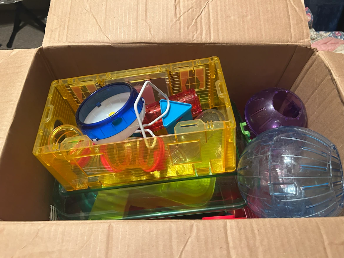 hamster supplies - photo 4