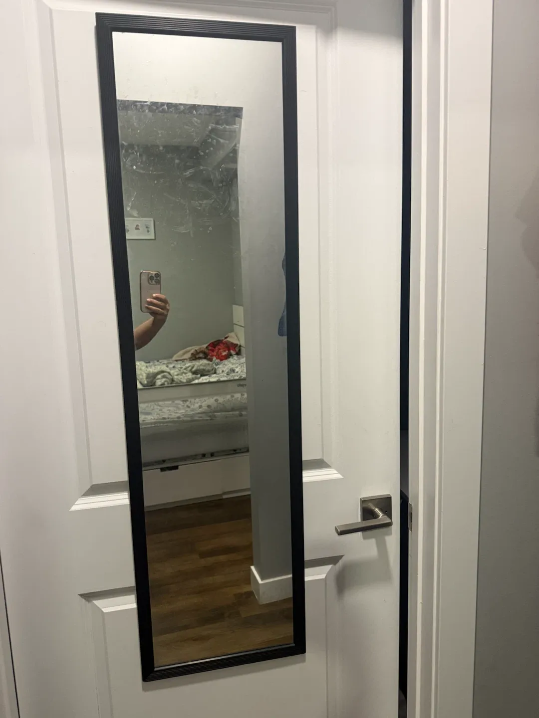 Full Length Mirror for Door