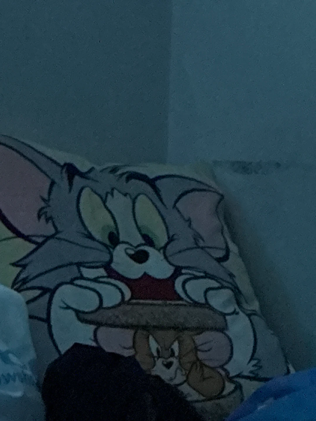 Tom and Jerry Pillow