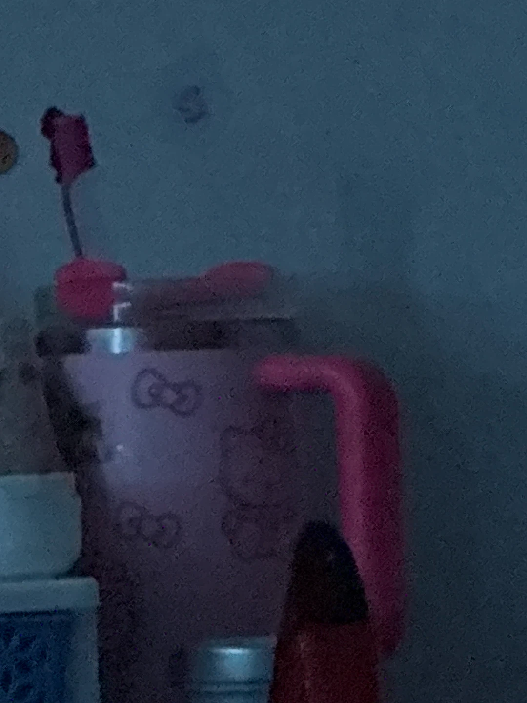 Hello Kitty Pink Water Bottle