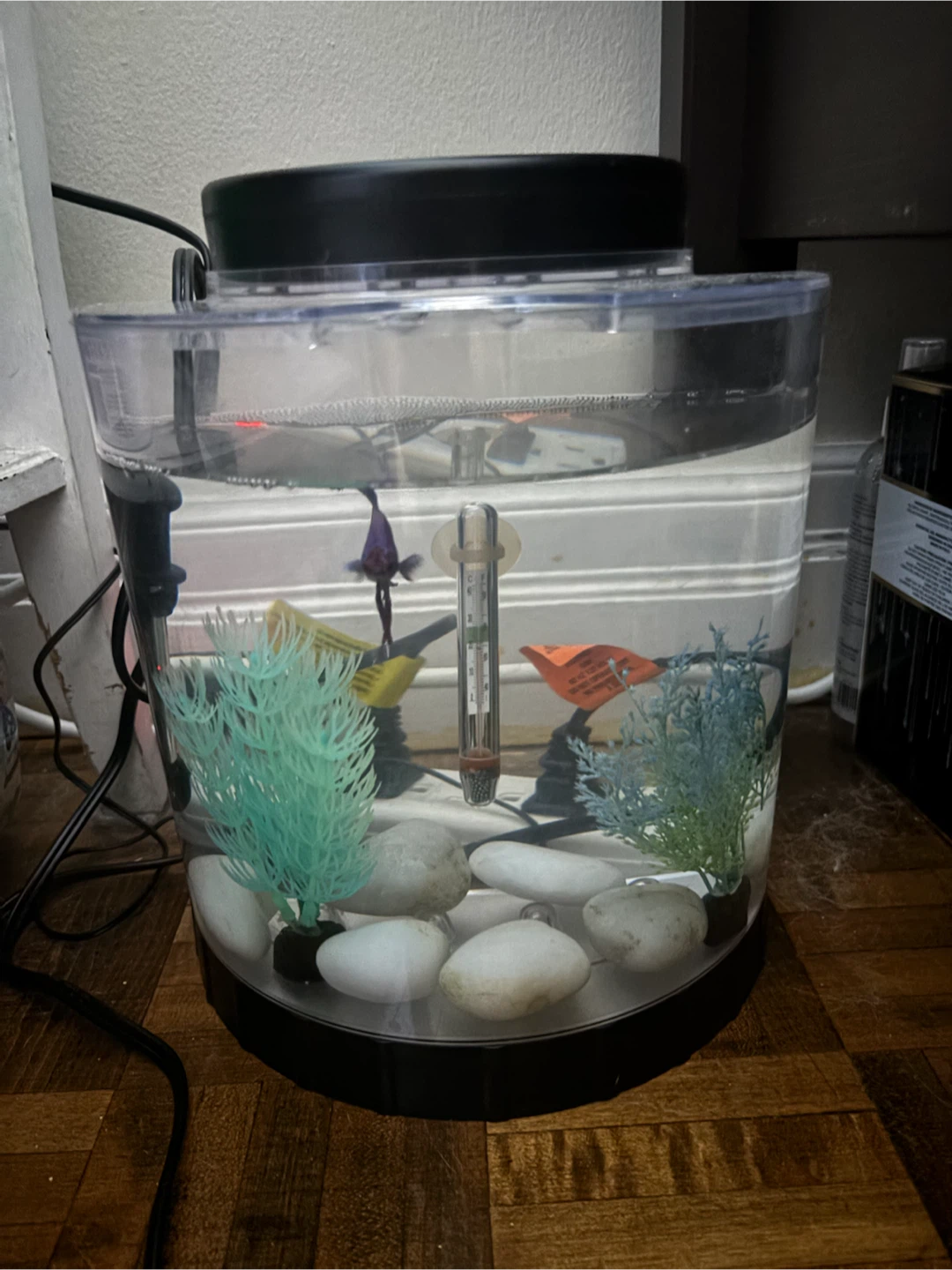 Aquarium Fish Tank
