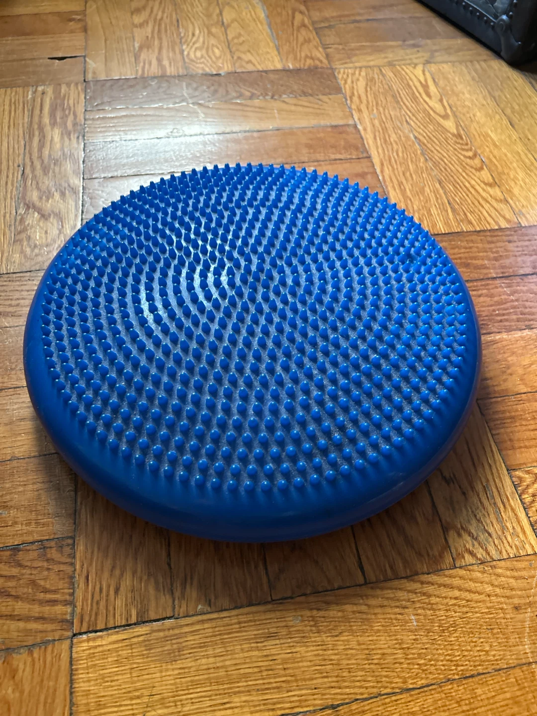 Exercise Wobble Cushion Disc