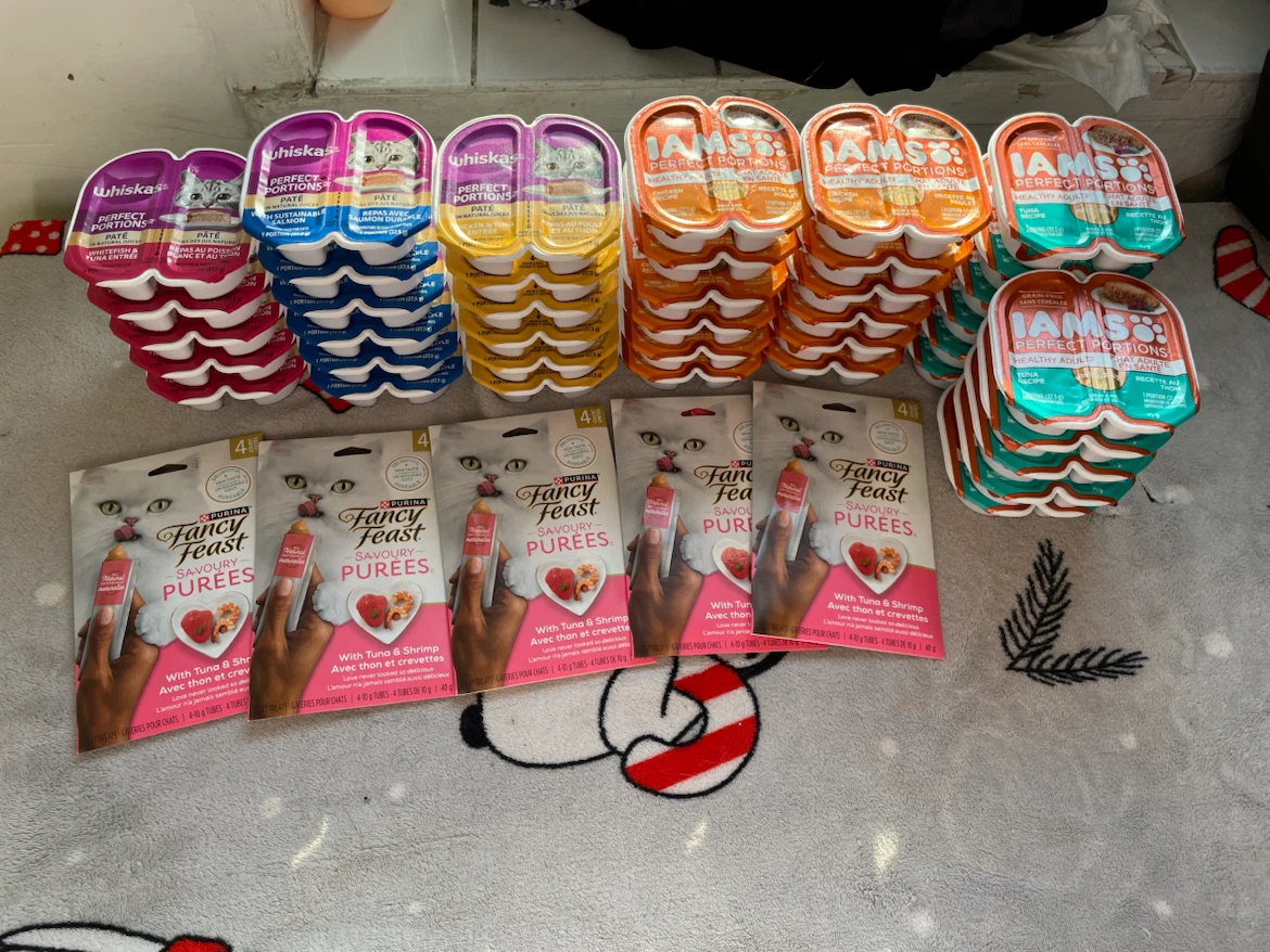 Huge Wet Cat Food Lot