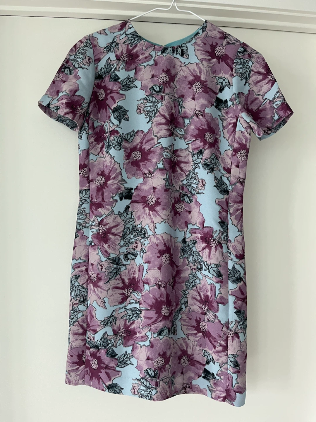 Aritzia Babaton Floral Shift Dress
