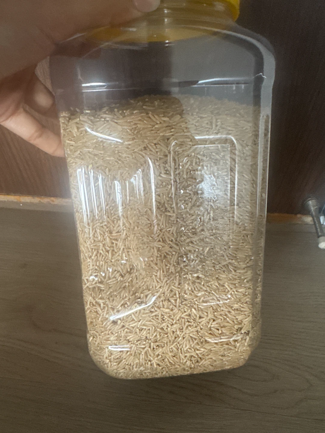 Brown Rice
