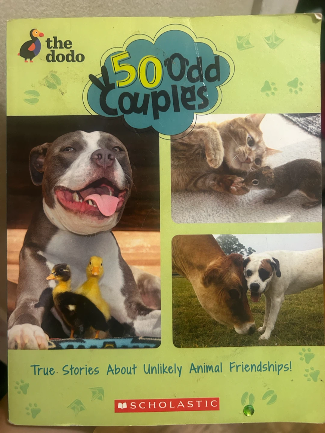 The Dodo 50 Odd Couples Book