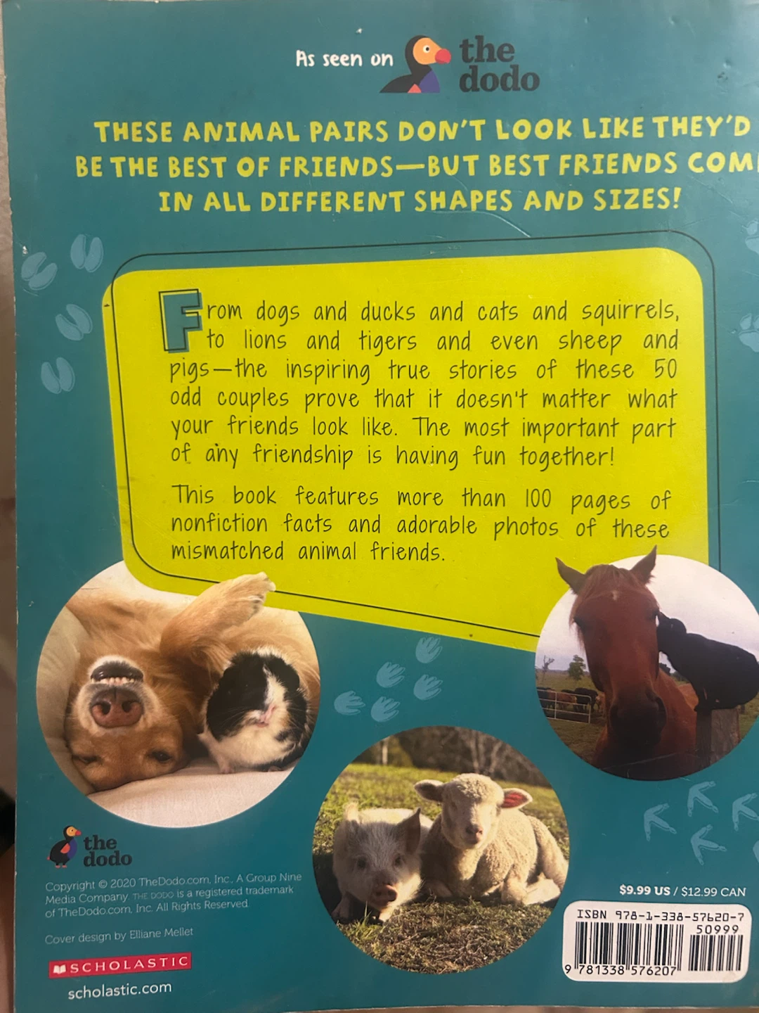 The Dodo 50 Odd Couples Book - photo 2