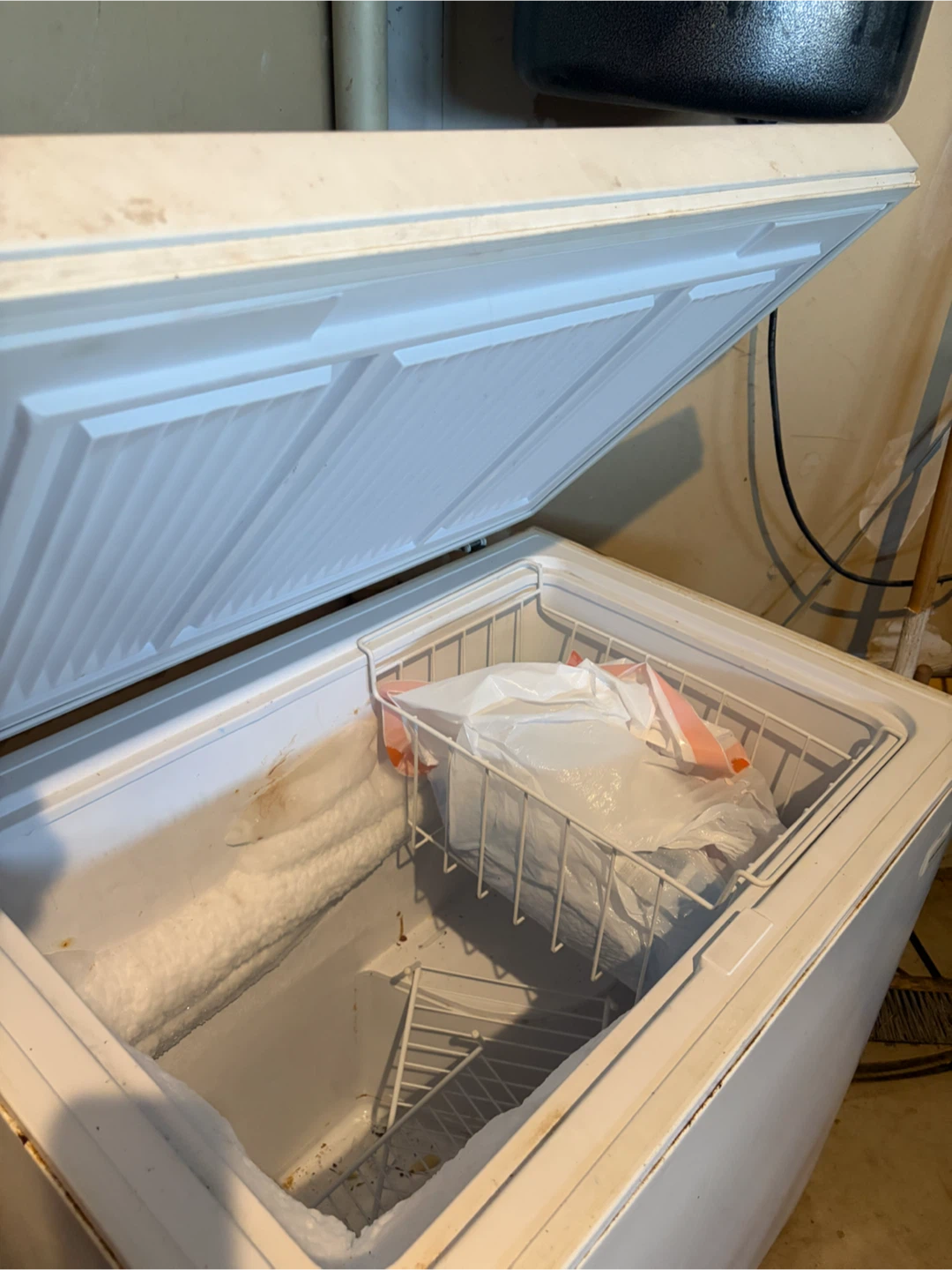 White Chest Freezer - photo 2
