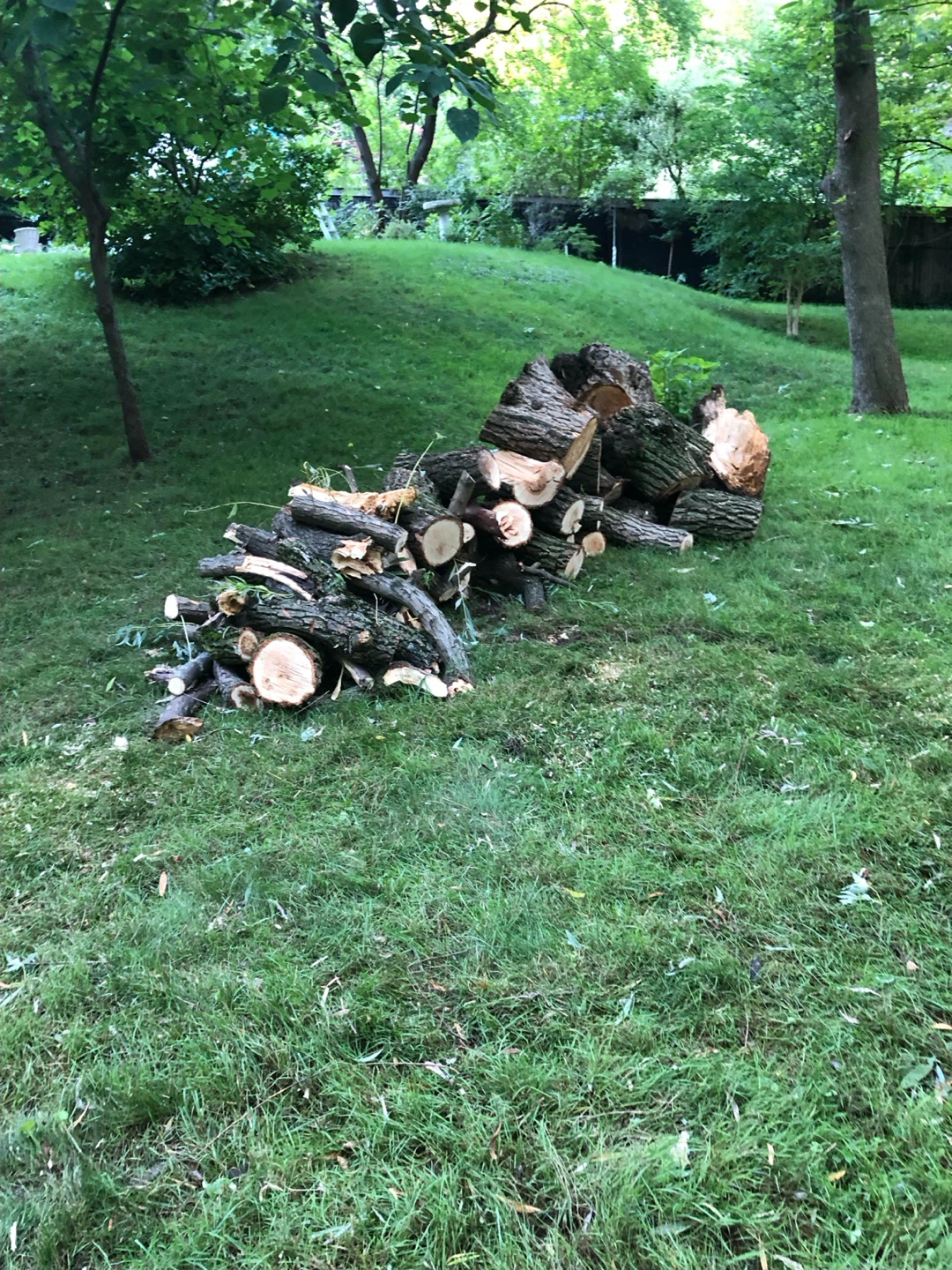 Free Firewood Logs