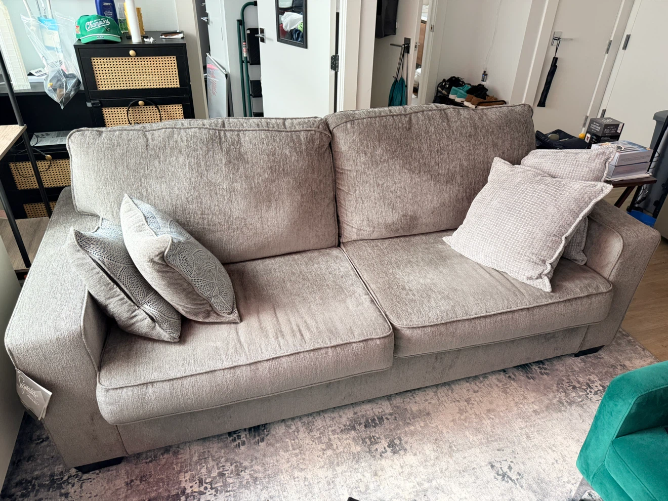 Pull Out Couch