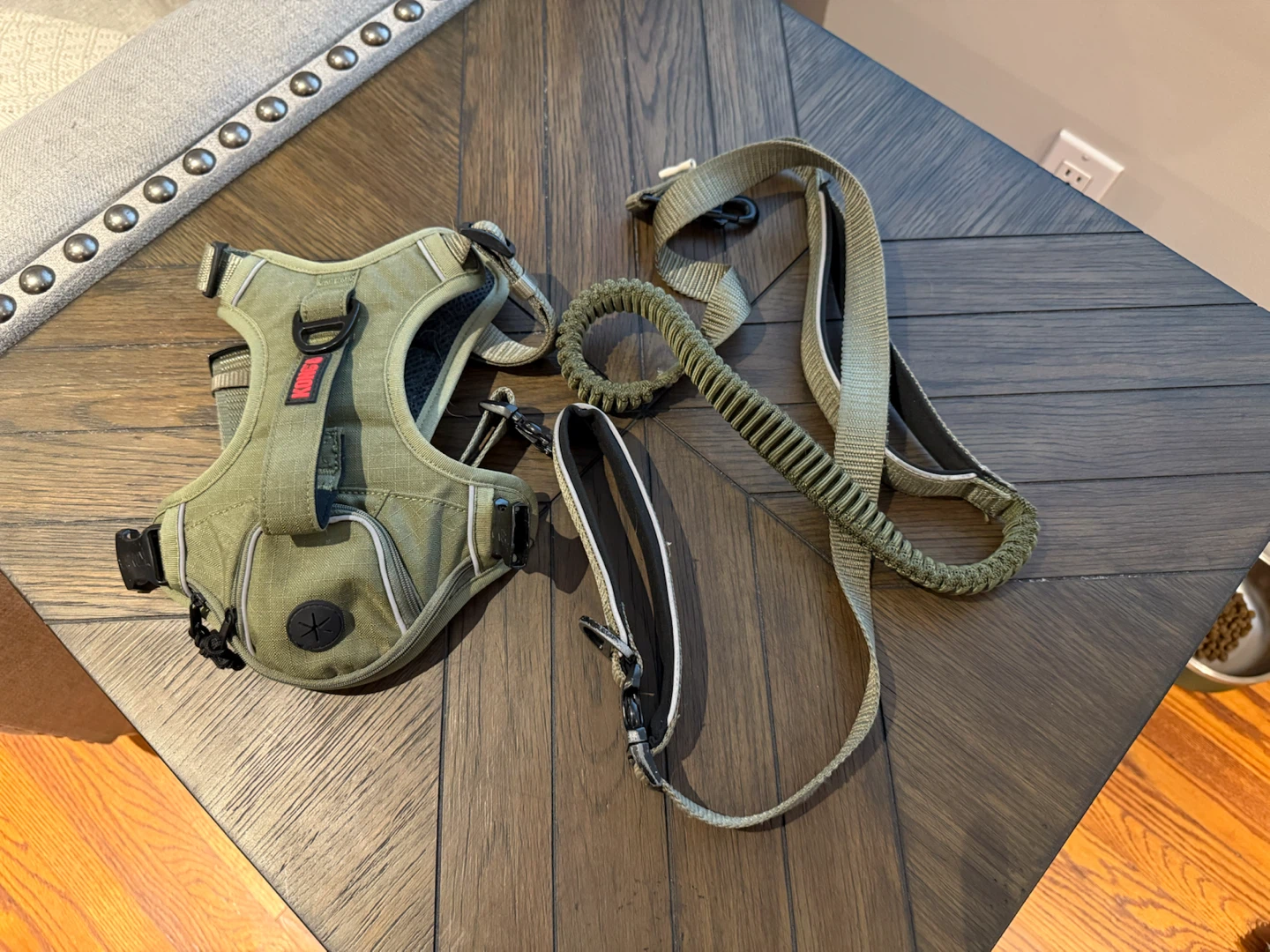 KONG Dog Harness and Leash Set