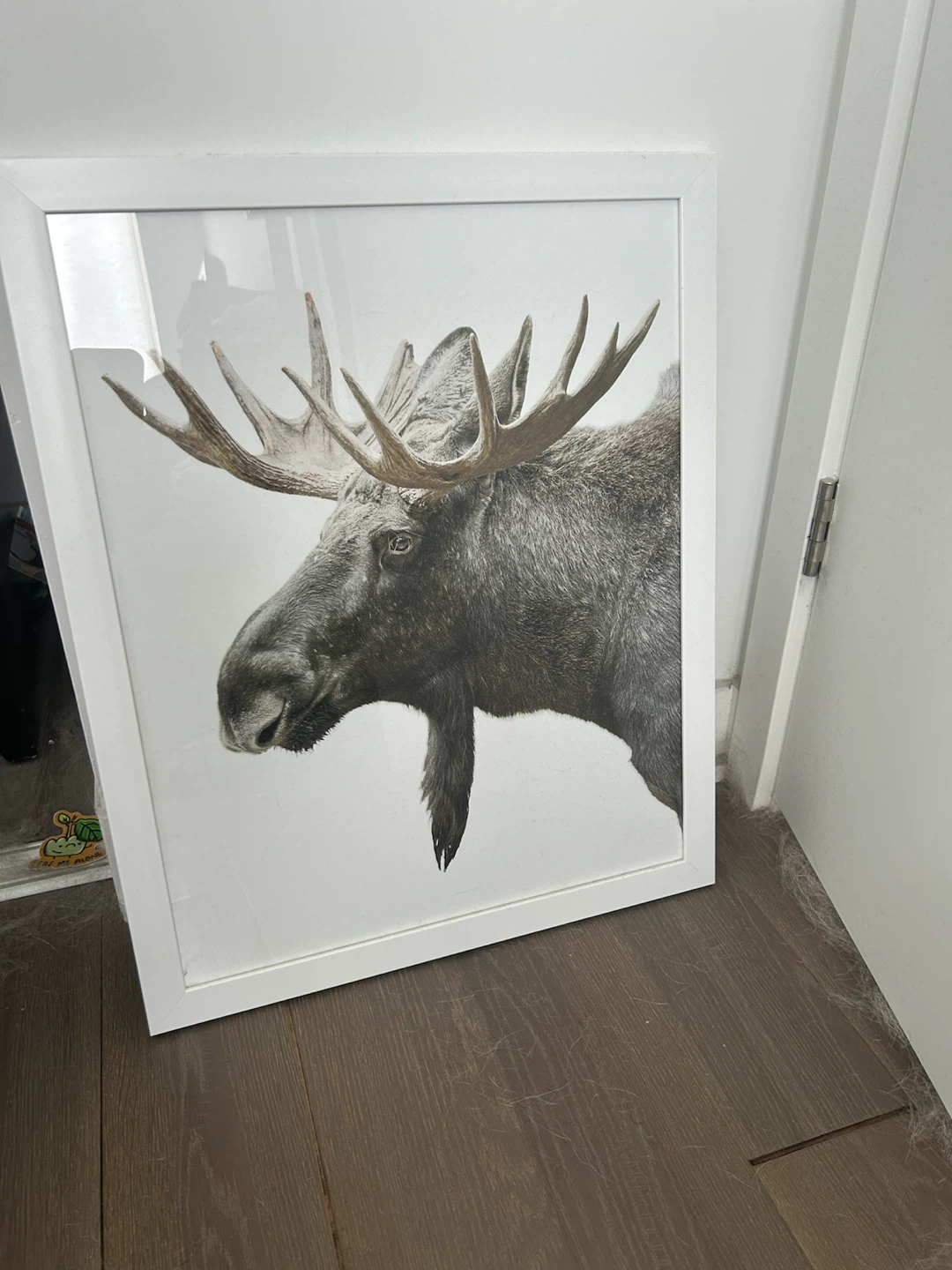 Framed Moose Portrait Wall Art