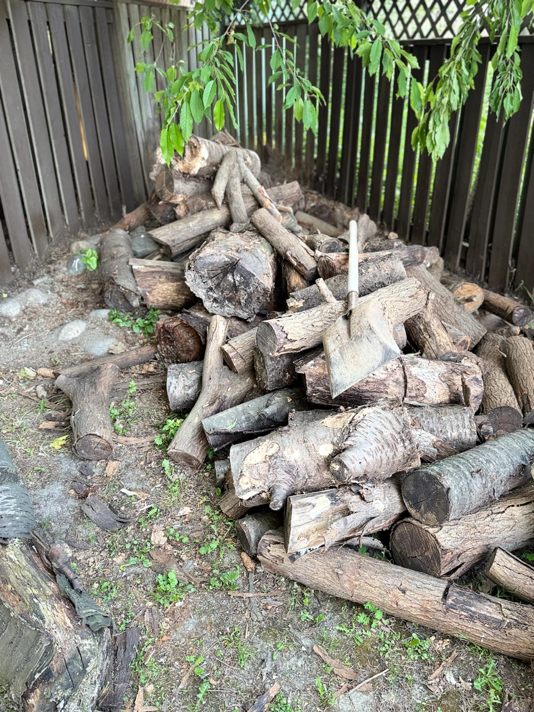 Free Firewood