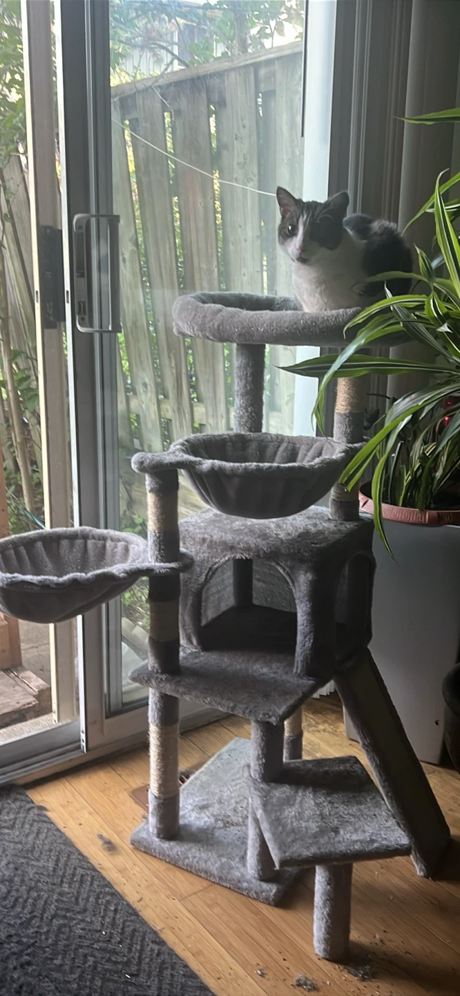 Cat tree