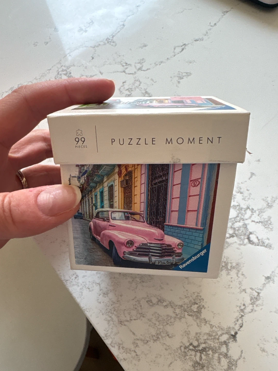 99 Piece Jigsaw Puzzle