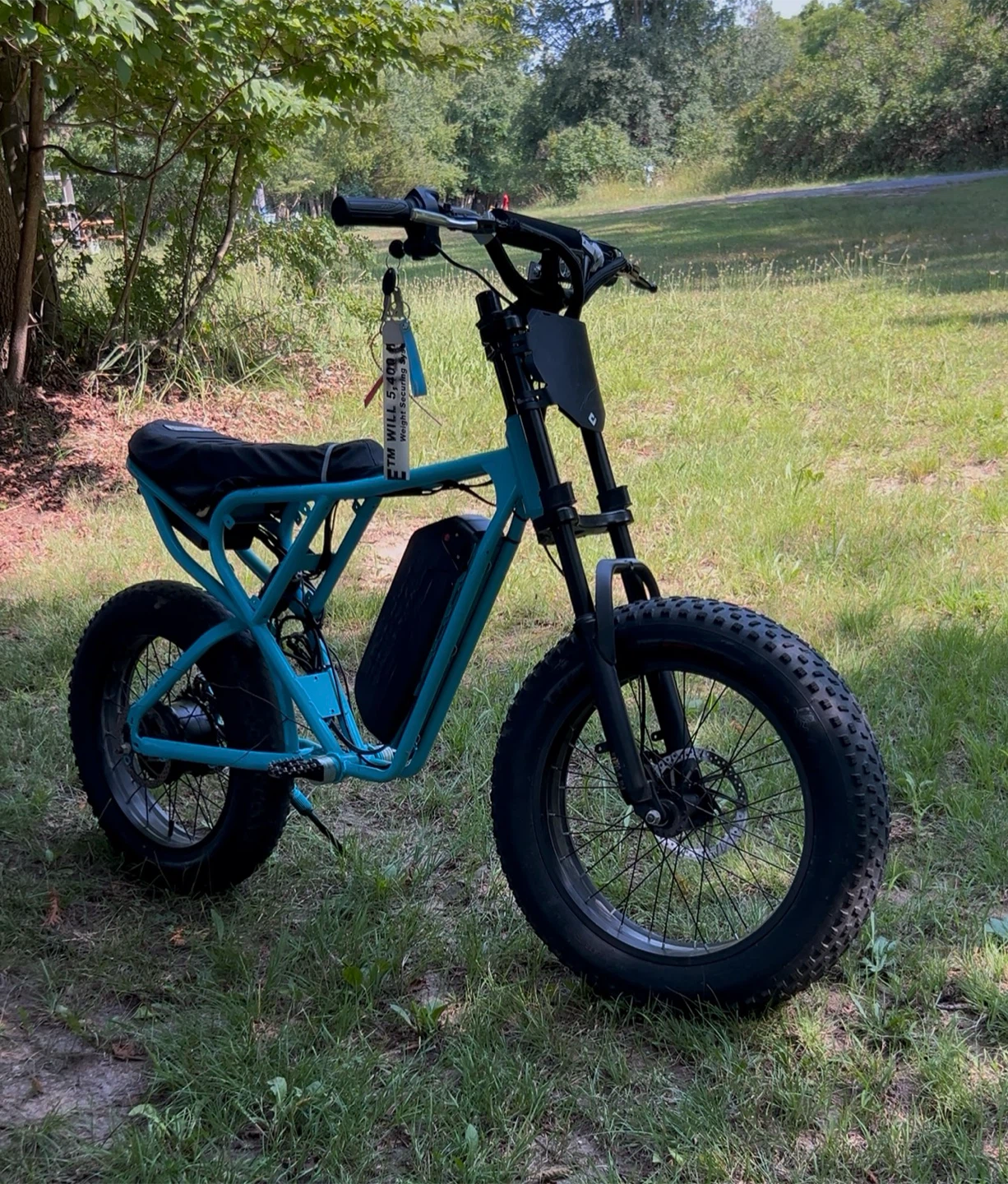 Ridstarq20 Electric Bike - Teal