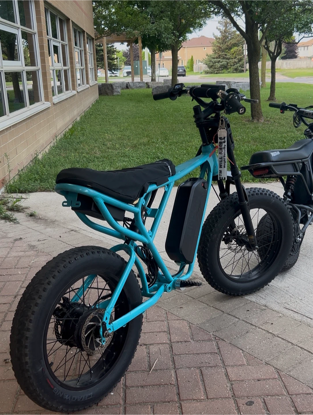 Ridstarq20 Electric Bike - Teal - photo 3