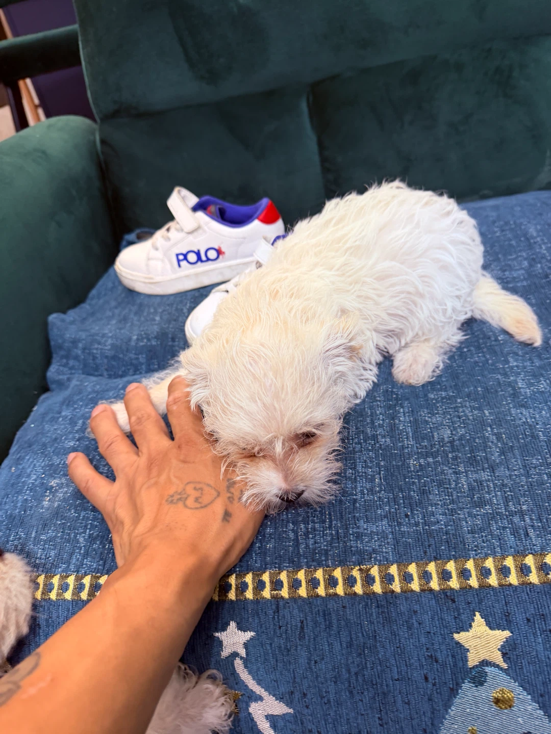 White Polo Ralph Lauren Sneakers - photo 2