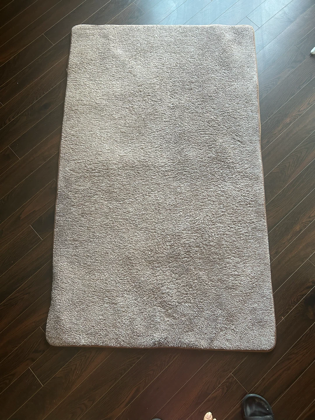 3’ feet X 5 feet Area rug