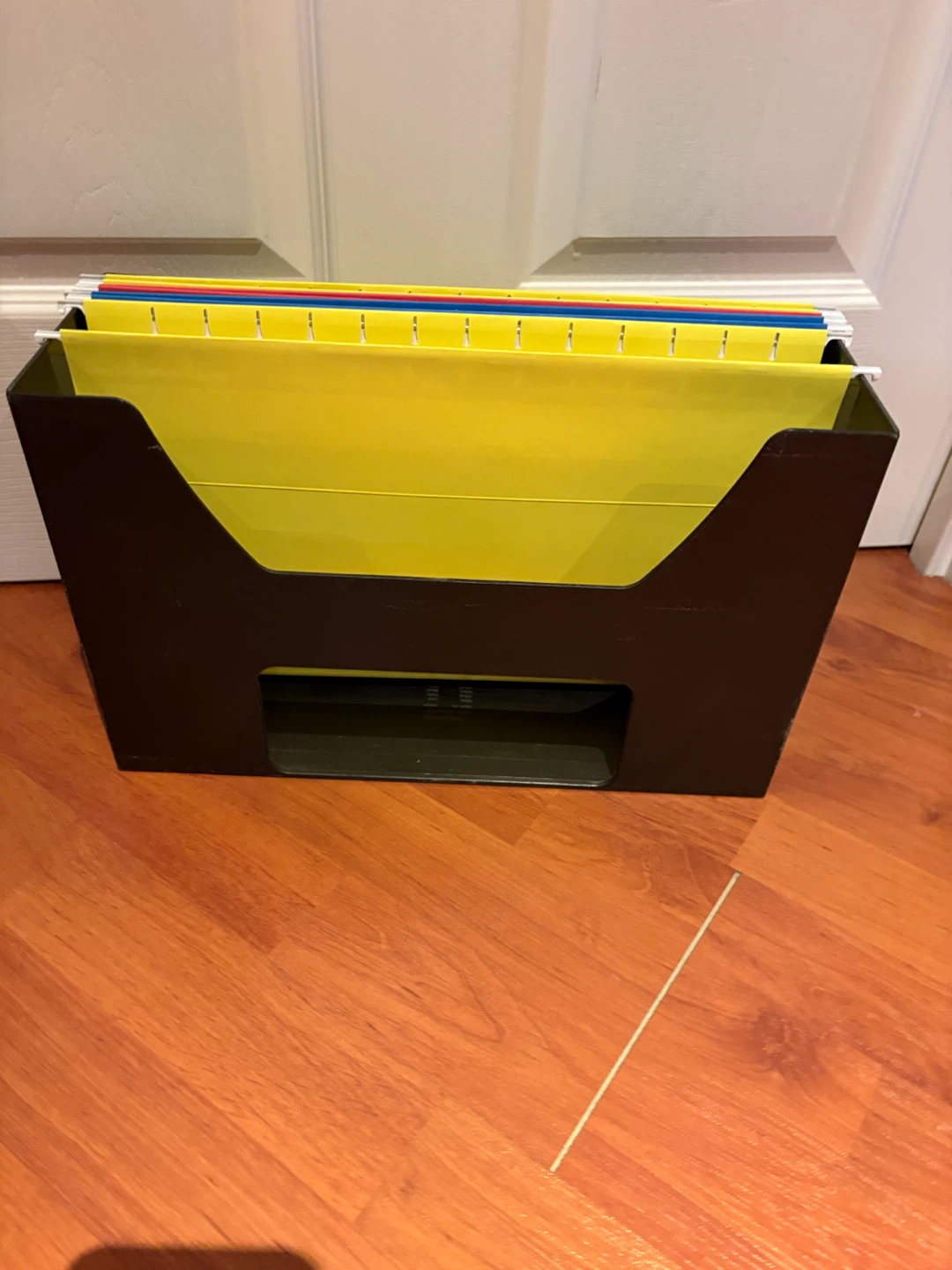 Hanging File Folder Organizer with Folders