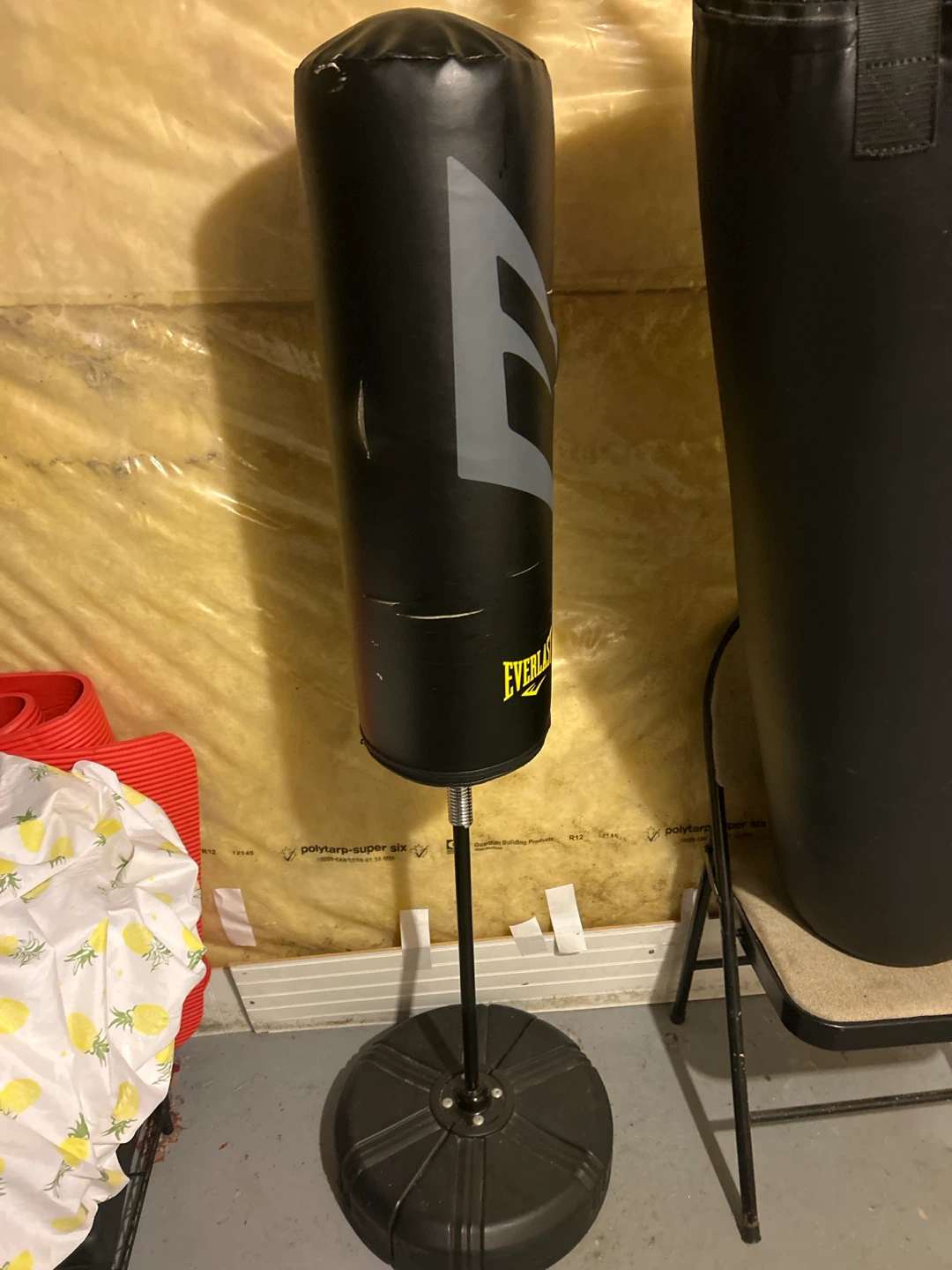 Everlast Punching Bag