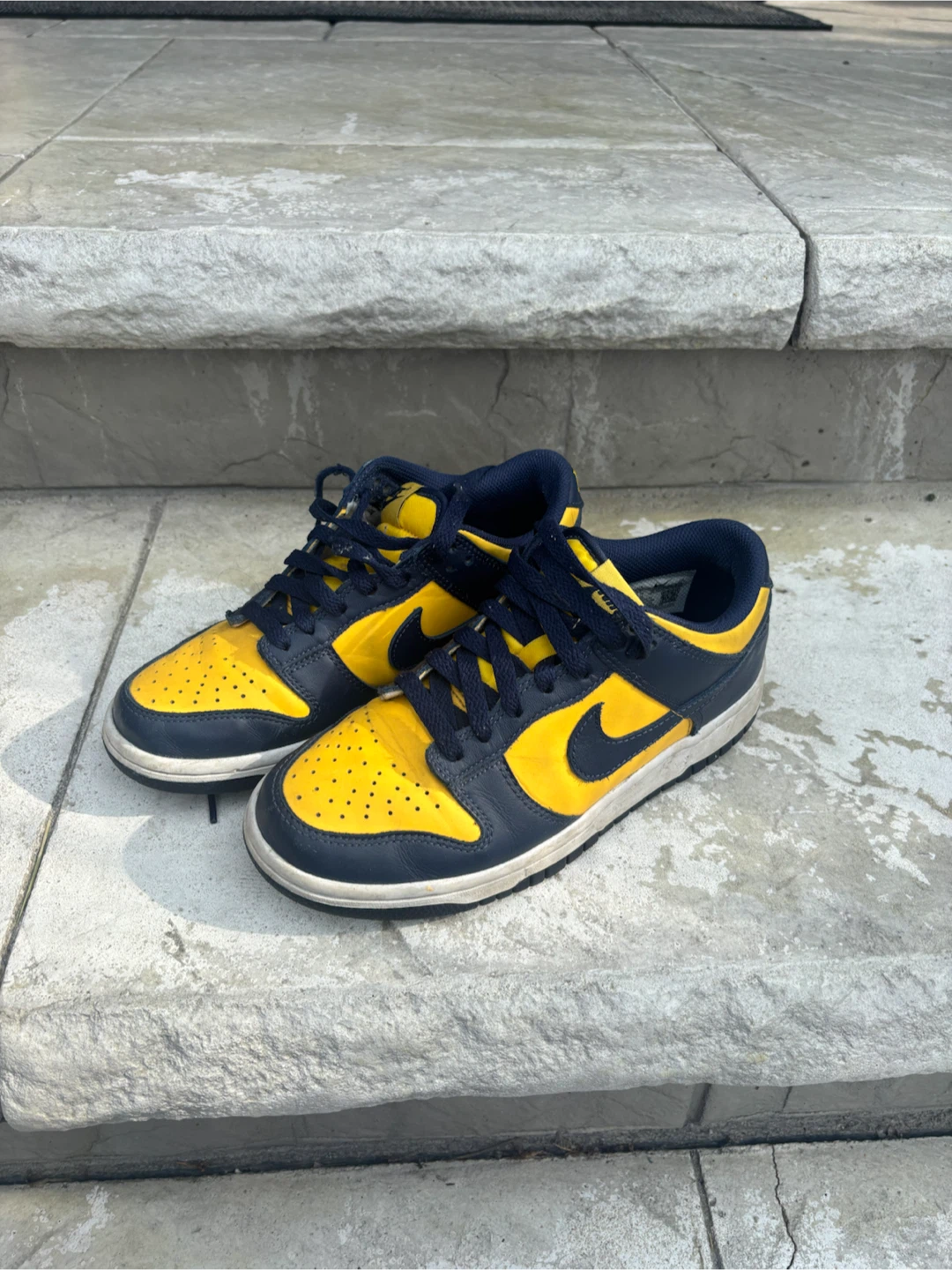 Nike Dunk Low "Michigan" Sneakers