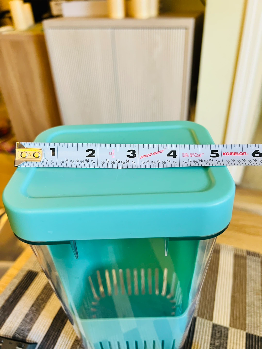 Teal asparagus/herb Storage Container with Lid - photo 2