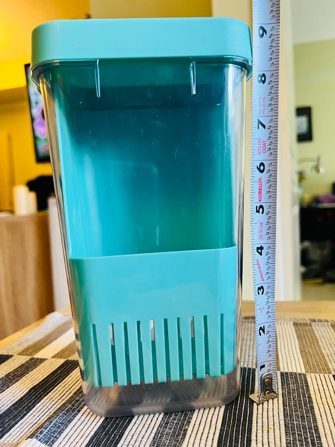 Teal asparagus/herb Storage Container with Lid