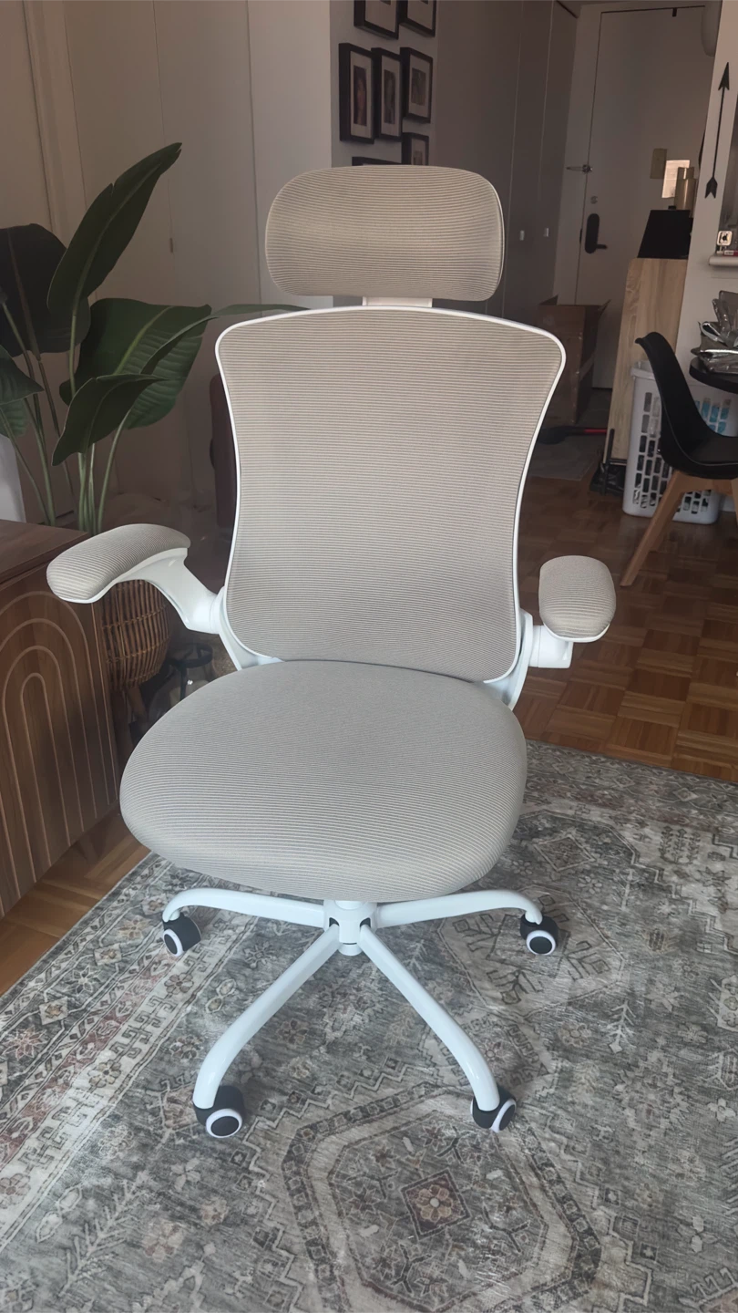 Ergonomic Office Chair
