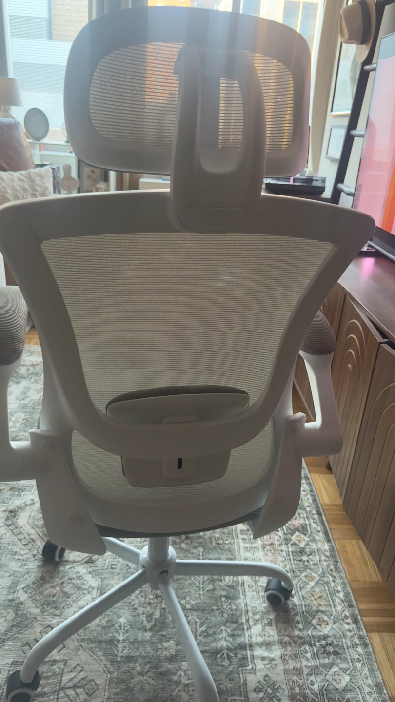 Ergonomic Office Chair - photo 2