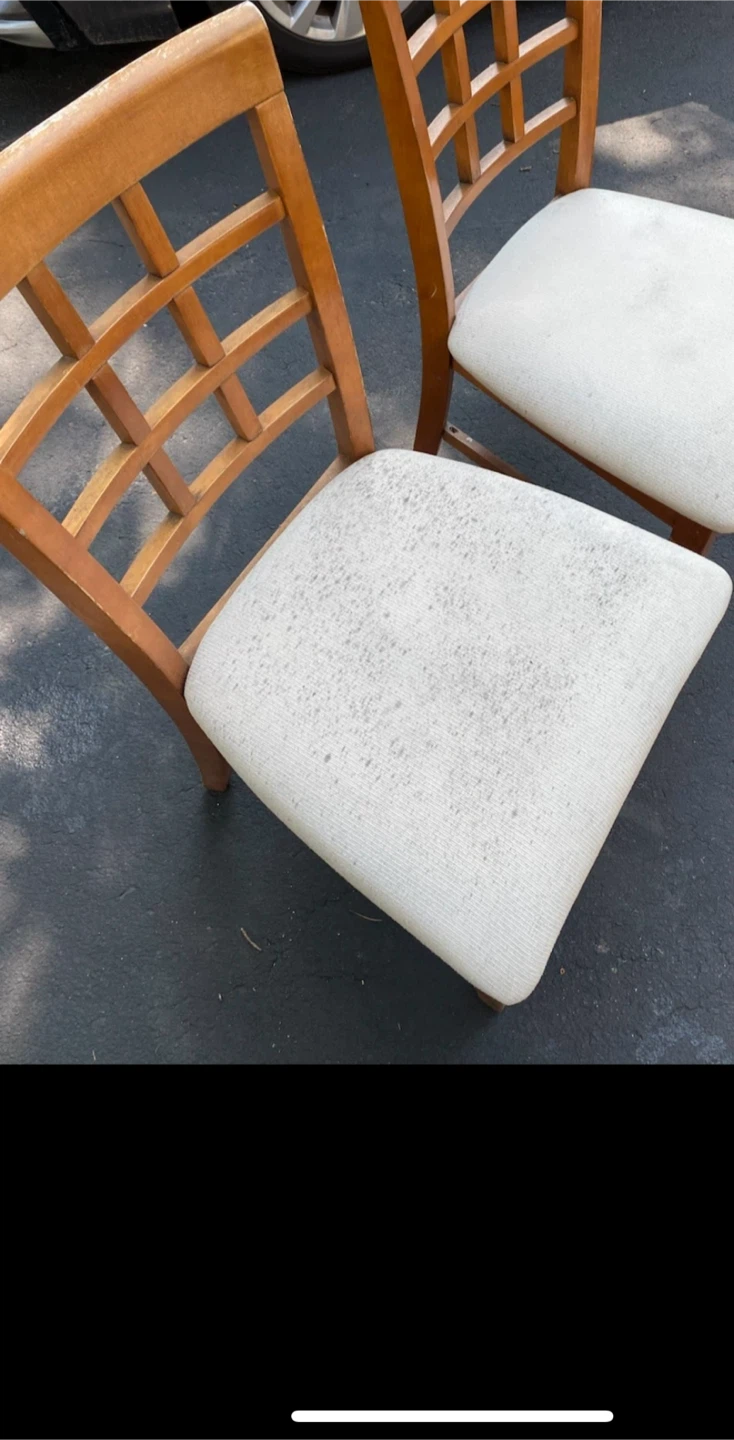 Wooden Dining Chair