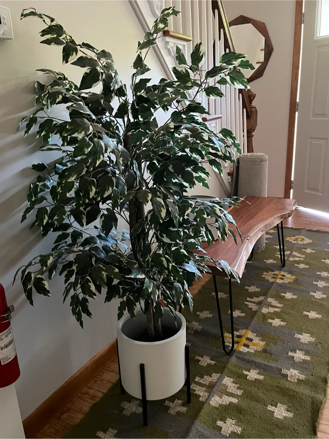 Artificial Ficus Tree in White Pot with Stand