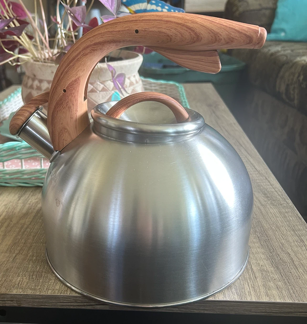 Primula Whistling Kettle