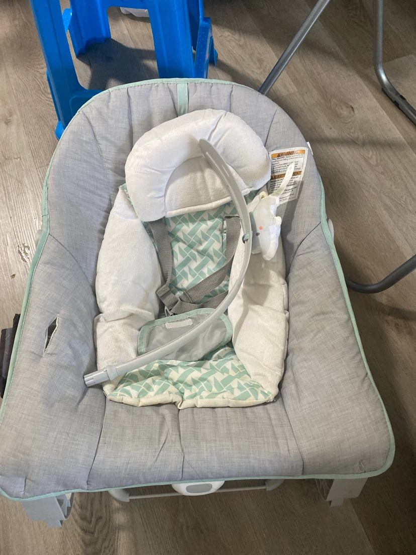 Graco Baby Rocker