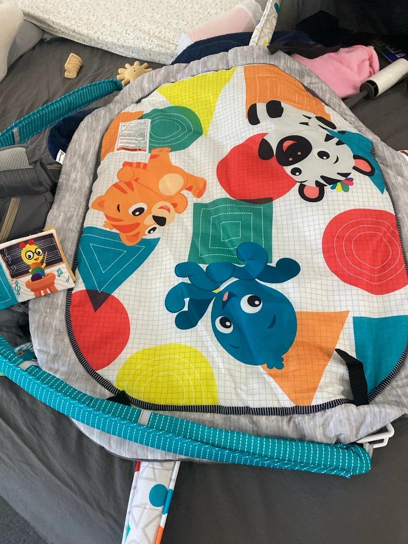 Baby Einstein Play Mat