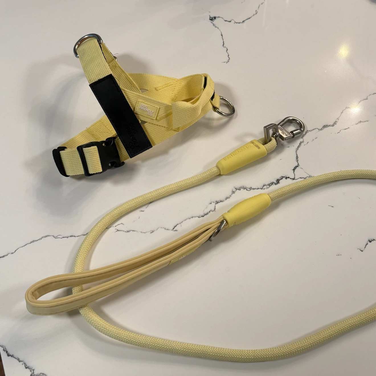 Dog Friendly Co. XS Harness and Rope Leash Set