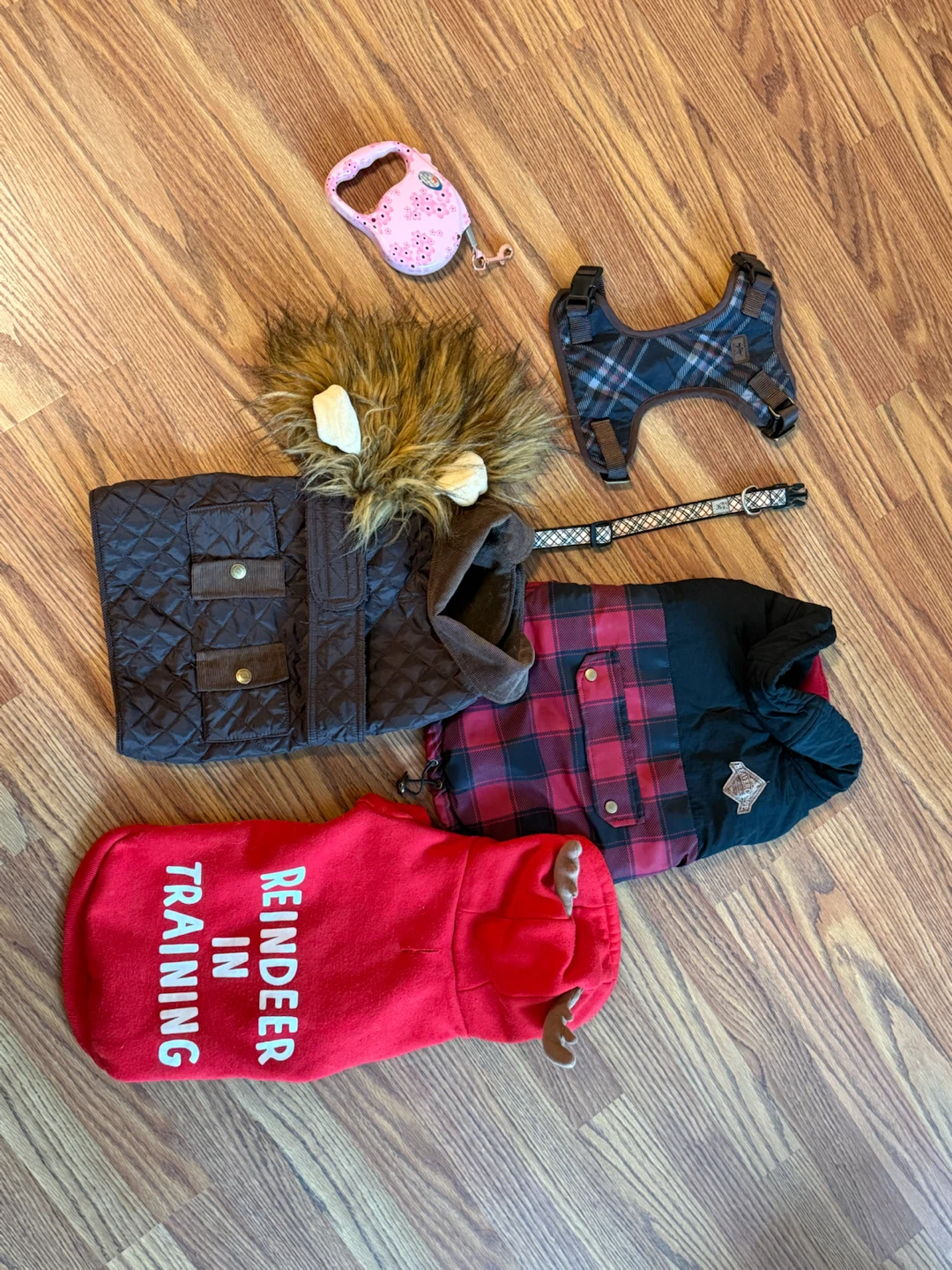 Bundle of 4 Dog Coats and Accessories