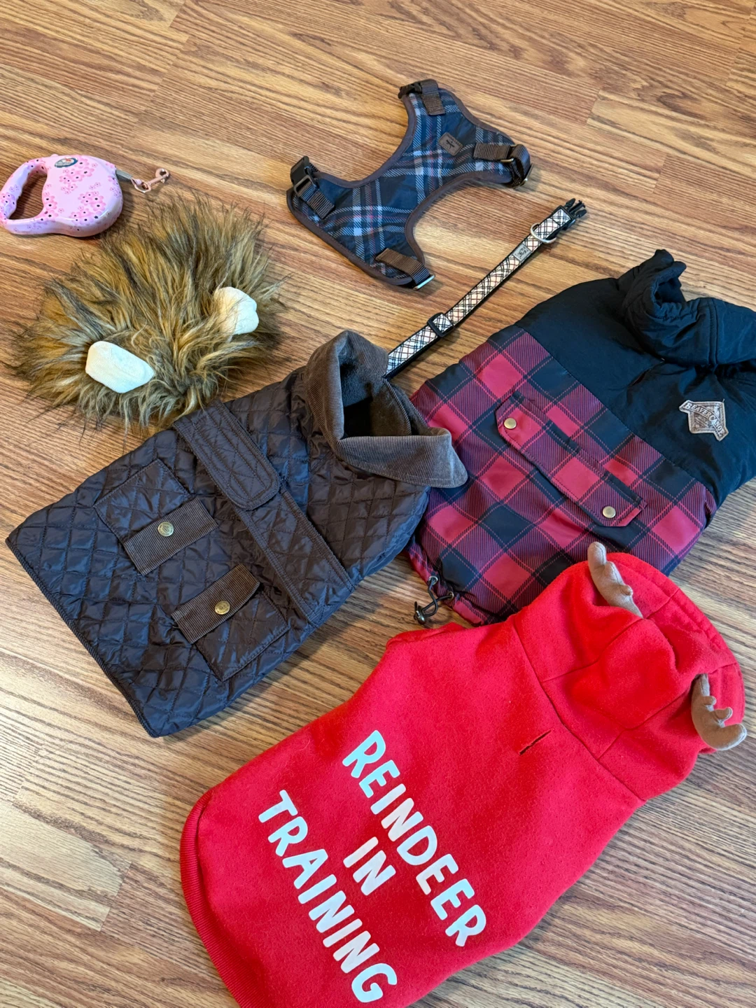Bundle of 4 Dog Coats and Accessories - photo 2