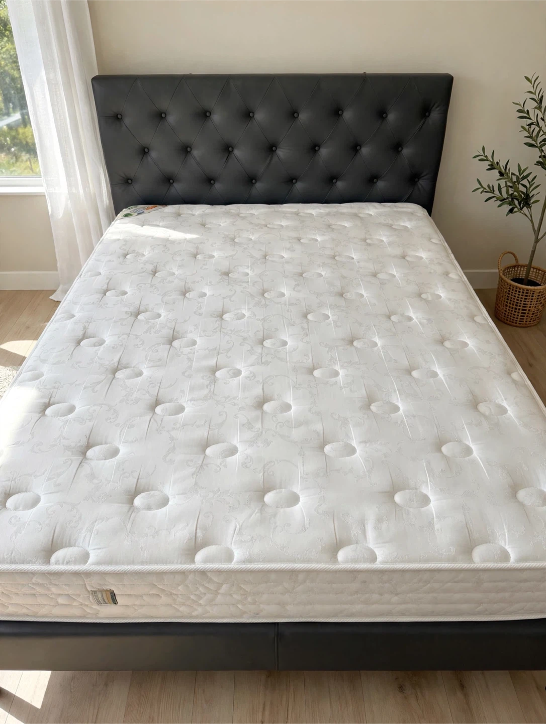 Dark brown Tufted Queen Bed Frame with Mattress- Complete Set