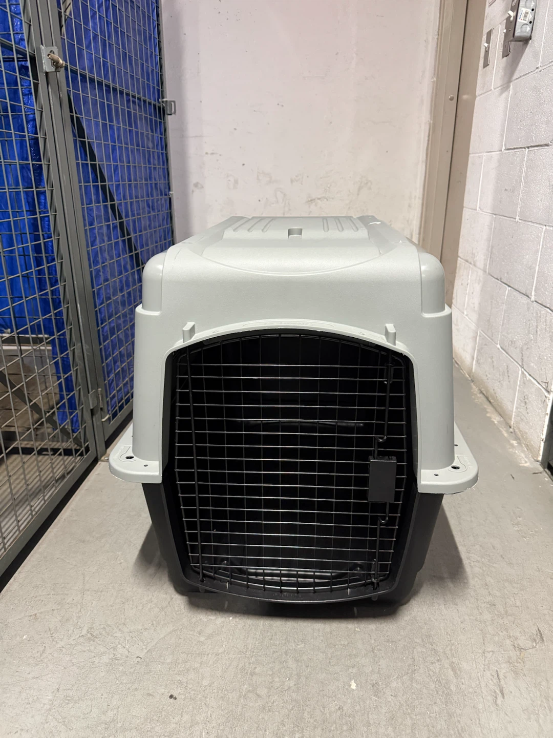 Petmate Pet Carrier 32-inch