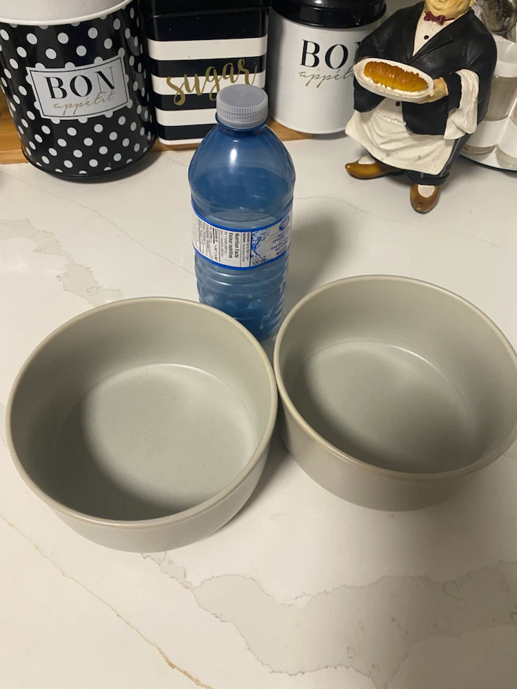 Life at Home Stoneware Bowls (Set of 2) - photo 3