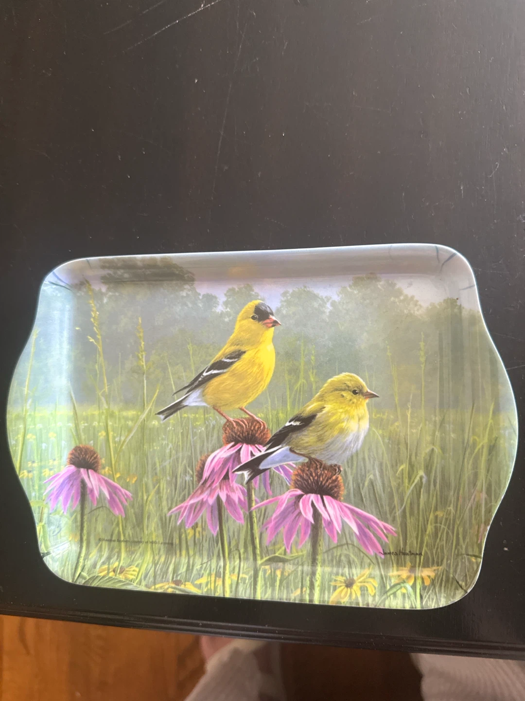 Ashdene Serving Tray with Goldfinches