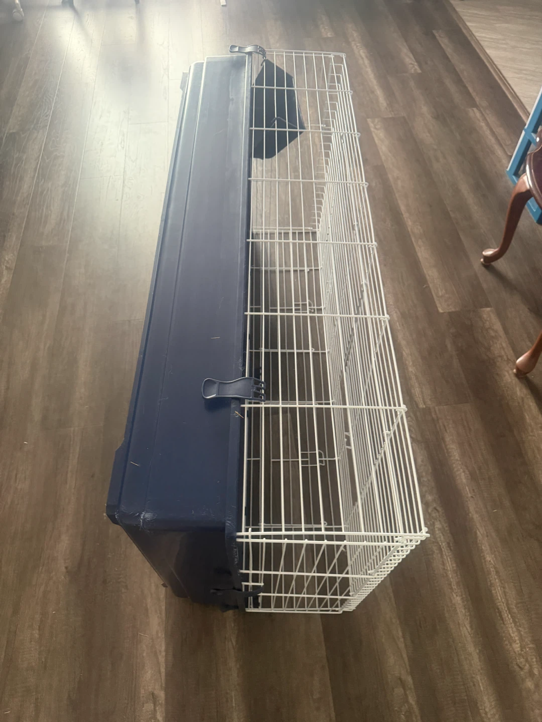 Large Pet Cage with Blue Base - photo 2