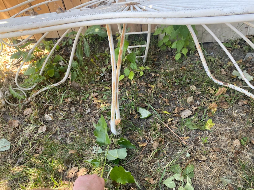 White Metal Butterfly Garden Bench - photo 2