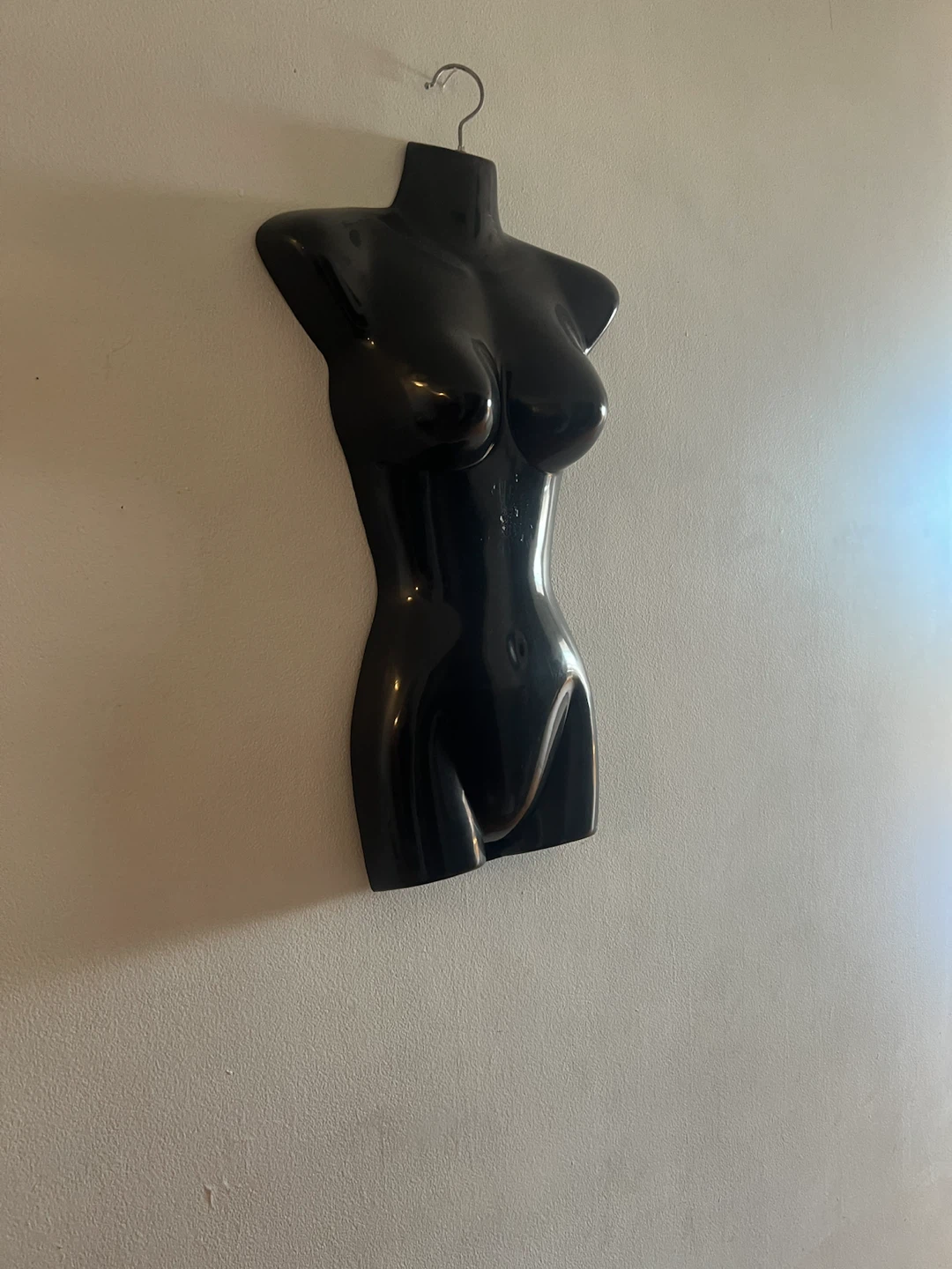 Black Torso Mannequin Display Form - photo 3