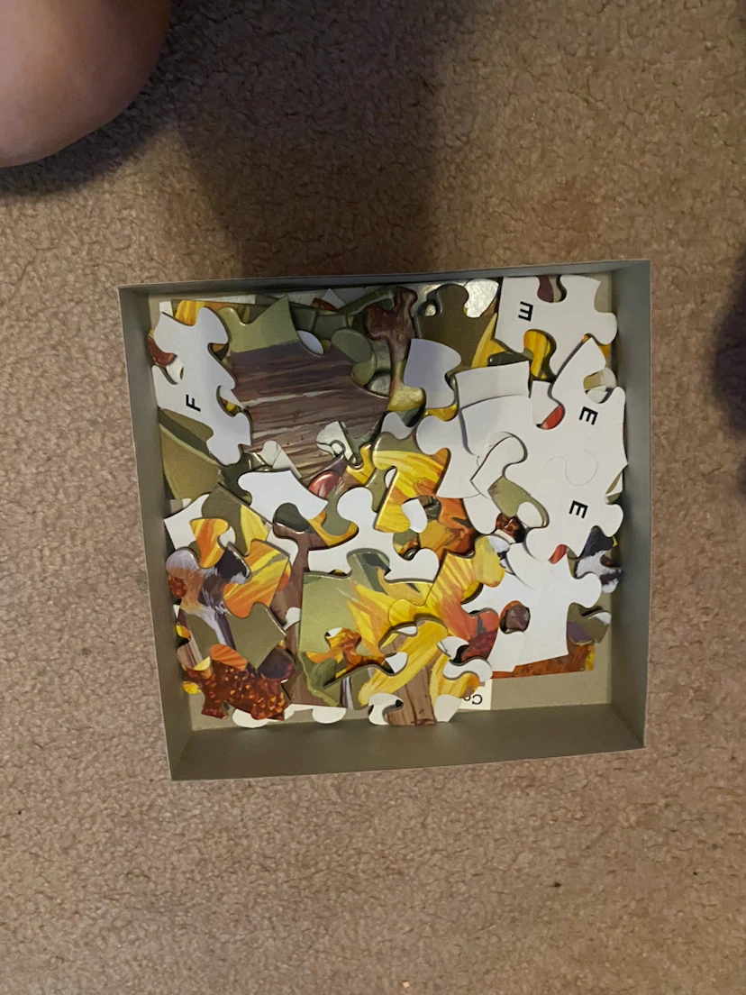 Bits and Pieces Sunflower and Songbirds 100 Piece Jigsaw Puzzle - photo 2