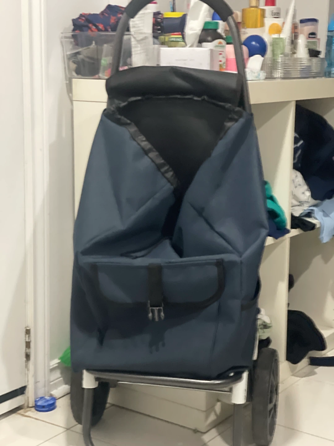 Blue Rolling Shopping Cart